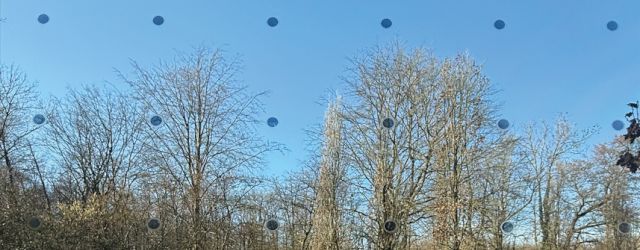 2026_03_10_v_b_haverkamp-vogelschutzfolie_autoglaser_de_folie_de_1200